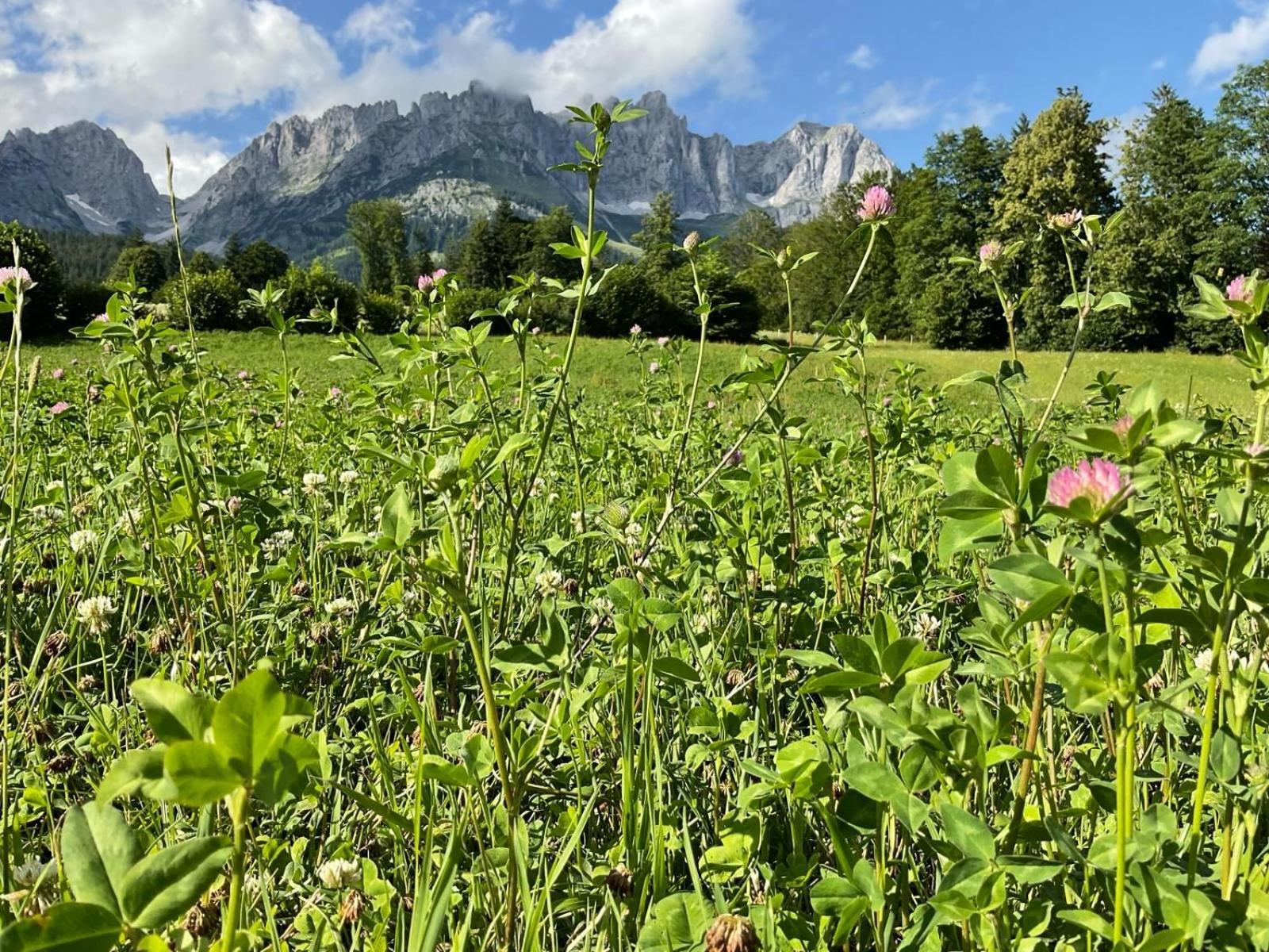 Stadtvilla Belle Kitz Im Zentrum Mit Sauna By Belle Stay Kitzbuhel Bagian luar foto